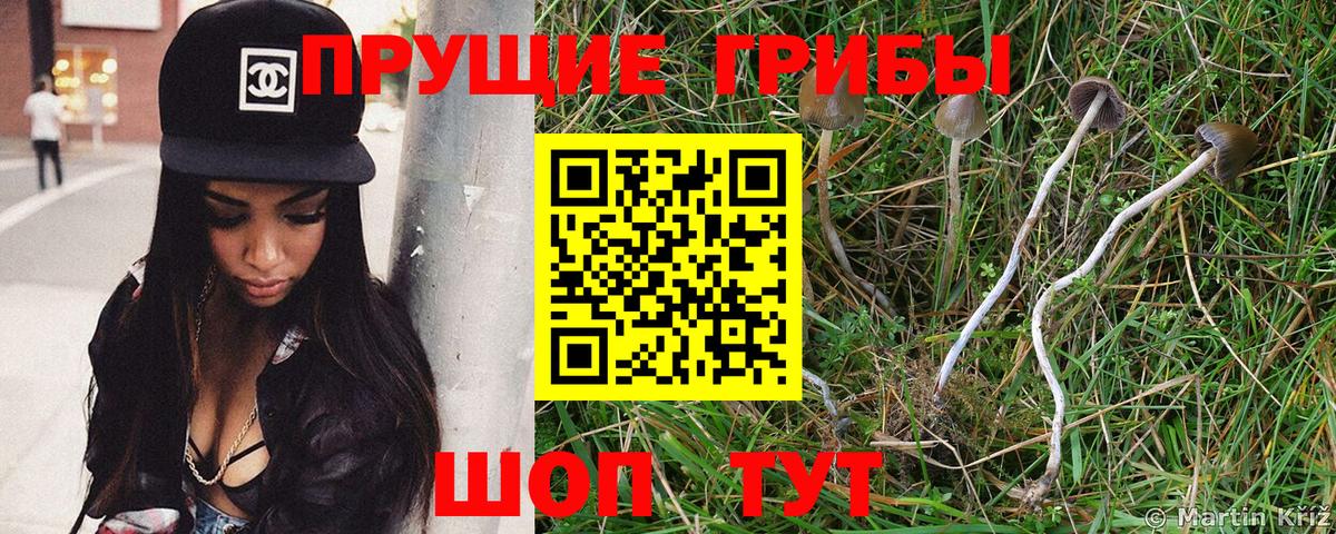 Псилоцибиновые грибы прущие грибы  Вход с VPN  Первоуральск 