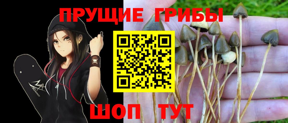 Галлюциногенные грибы Cubensis Первоуральск